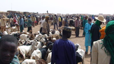 Le marché de Torodi